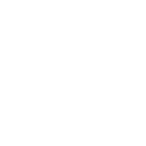 flexx_logo_original_website white